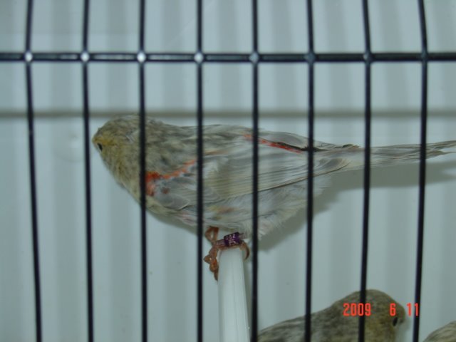 [DSC05632.JPG]