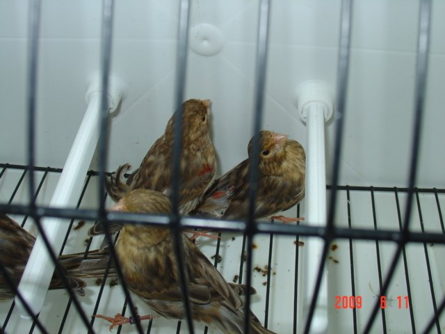 [DSC05652.JPG]