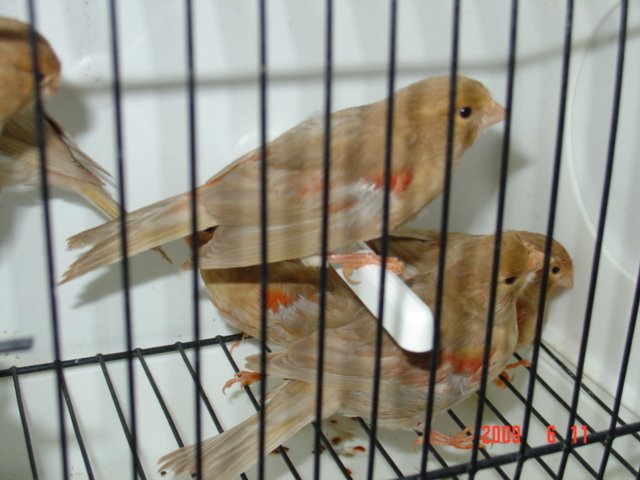 [DSC05667.JPG]