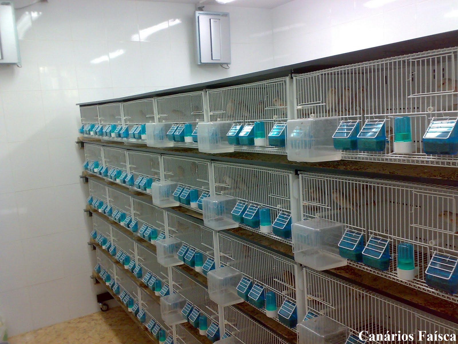 [Fotos+garagem+008text.JPG]