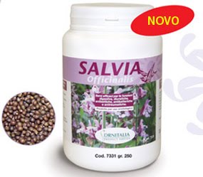 [SALVIA.jpg]