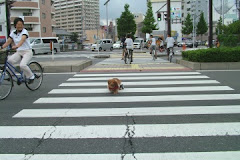 横断歩道を渡る 車椅子のバロン