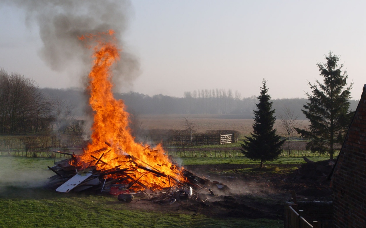 Ashes for the wind hernando tellez essays and term papers 08 image