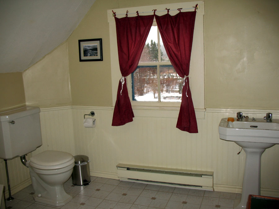 [new+window+n+tp+holder.jpg]