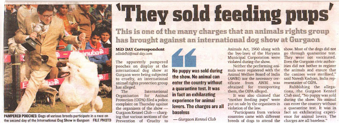 International Dog show in Gurgaon - a crime - OIPA