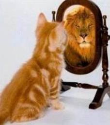 Self efficacy is the self