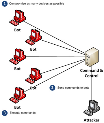 How to write a botnet program