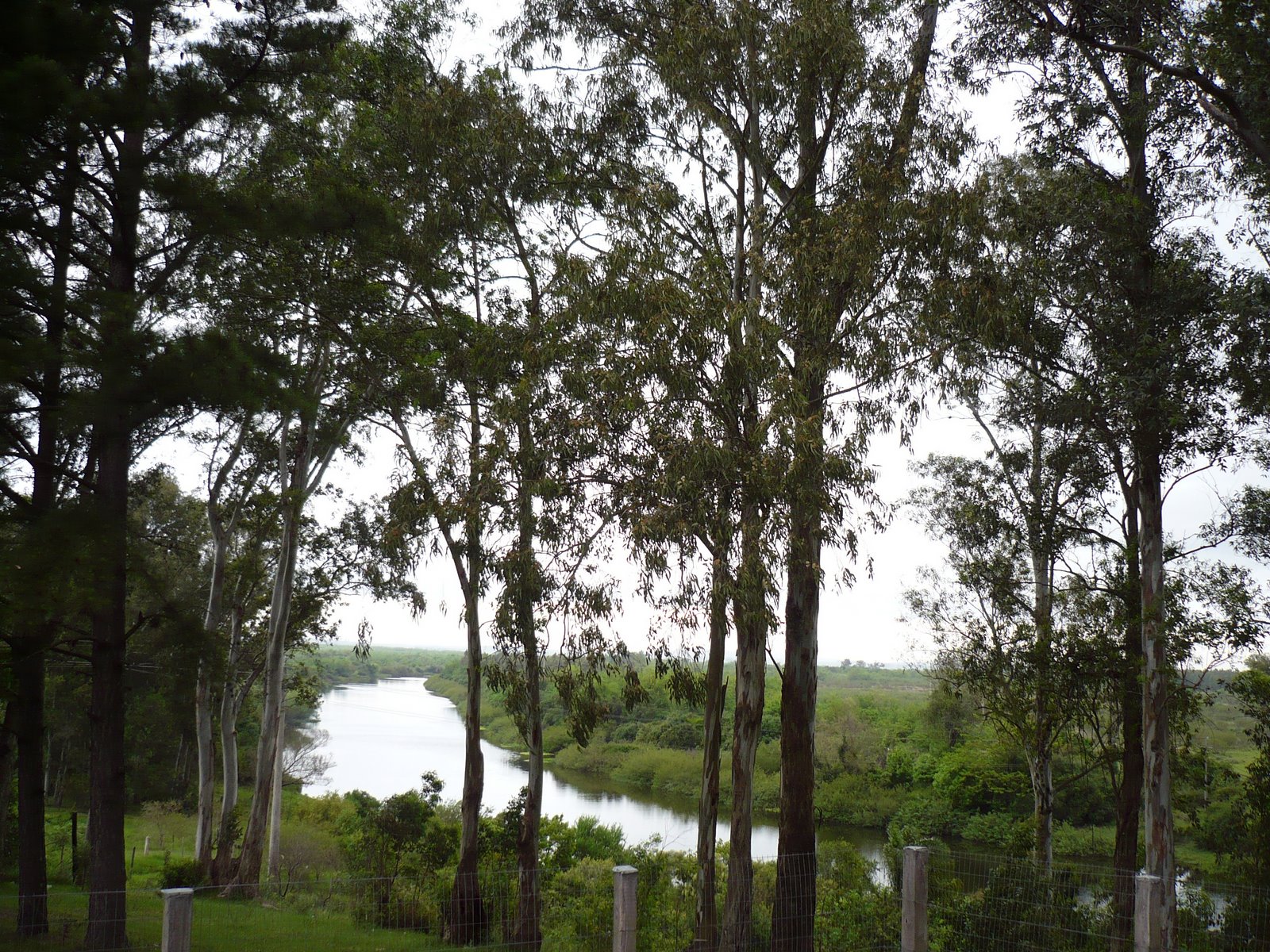 [P1000244.JPG]