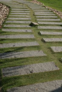 [caminho-reflexões.jpg]