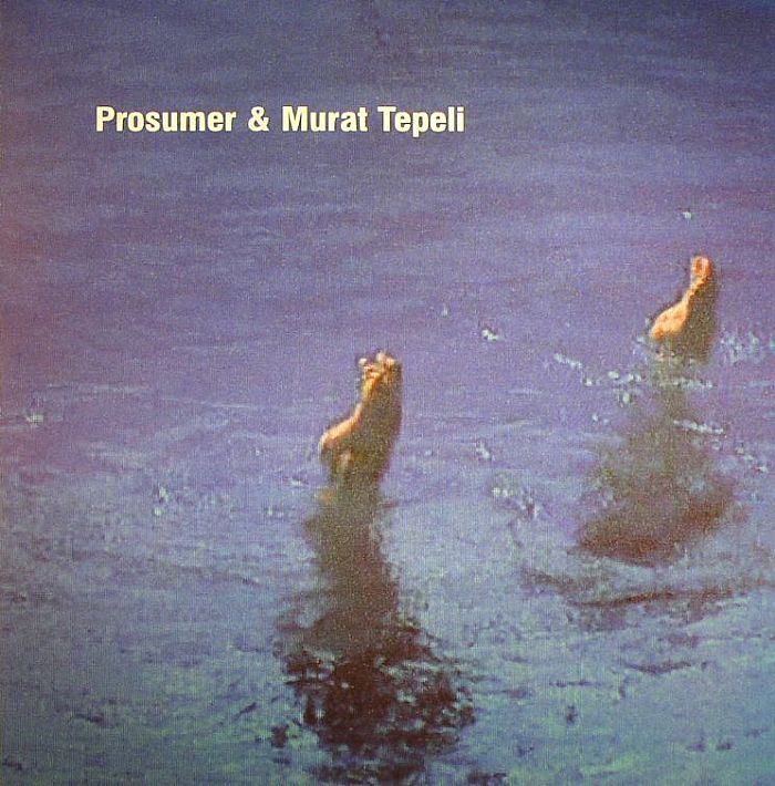 [Prosumer+Murat+Tepeli+U+And+I.jpg]