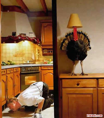 funny-pictures151.jpg