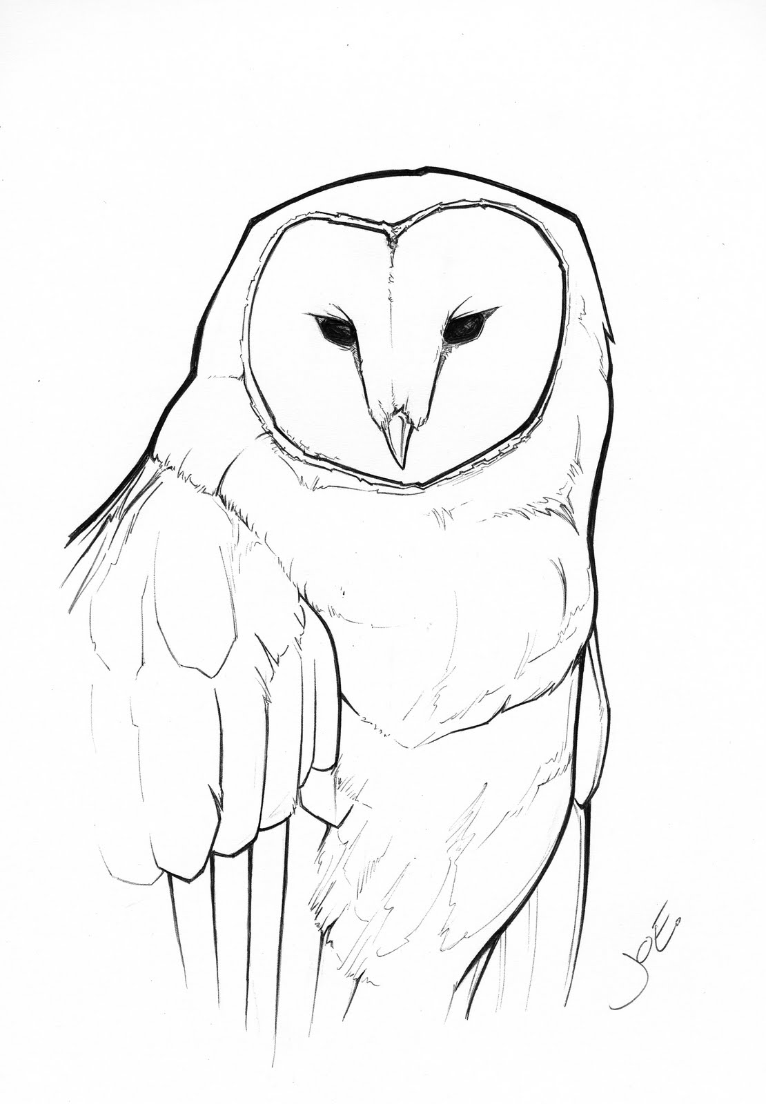 Barn Owl Template