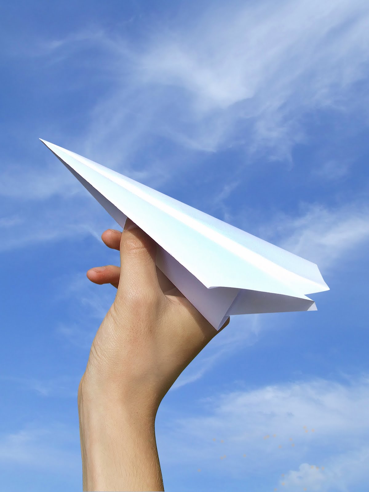 [Paper_Plane.jpg]