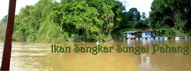 Ikan Sangkar Sungai Pahang