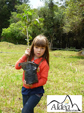 Eco actividades