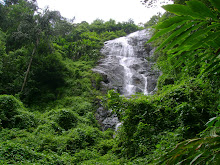 Kerala high range nature