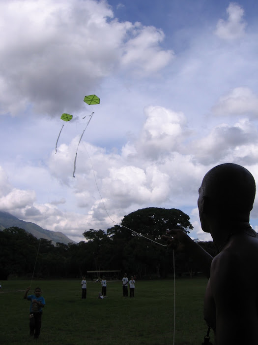 En Parque Miranda volando, aunque esté prohìbido