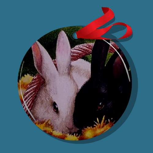 [Bunny+Ornie+Round-1.jpg]