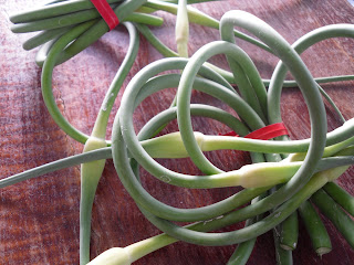 Garlic scapes, still tender and coiled, bought at the Main Street Farmers Market at Thornton Park, Vancouver, BC (2009)