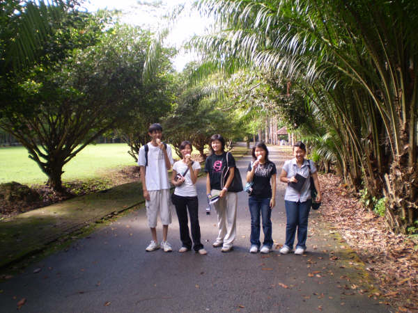 [P3140086.JPG]