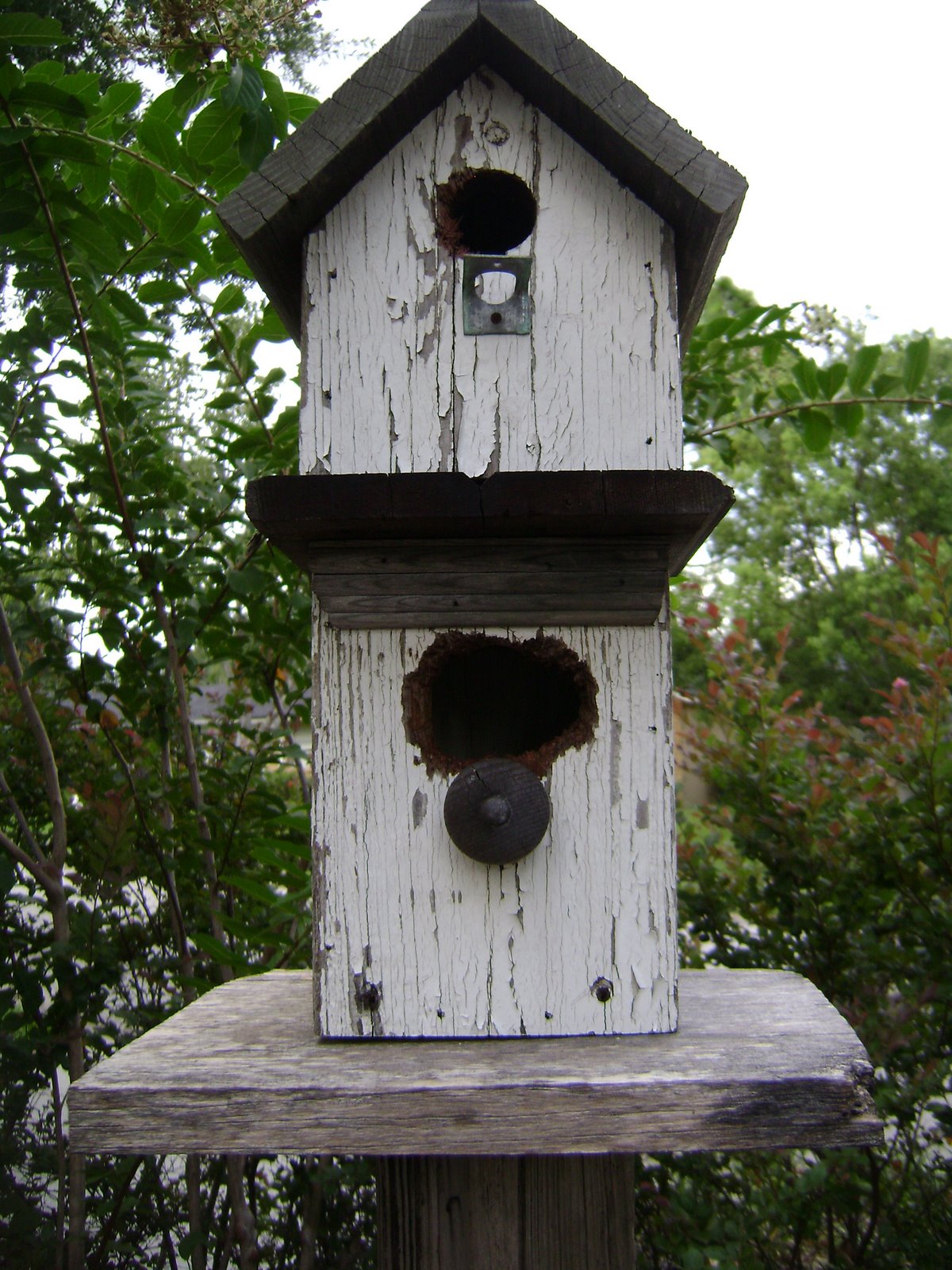 [DSC03663.JPG]