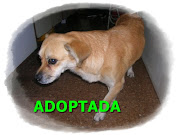 CANDY ADOPTADA!!!