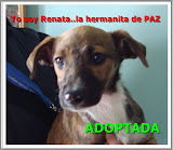 RENATA ADOPTADA!!!