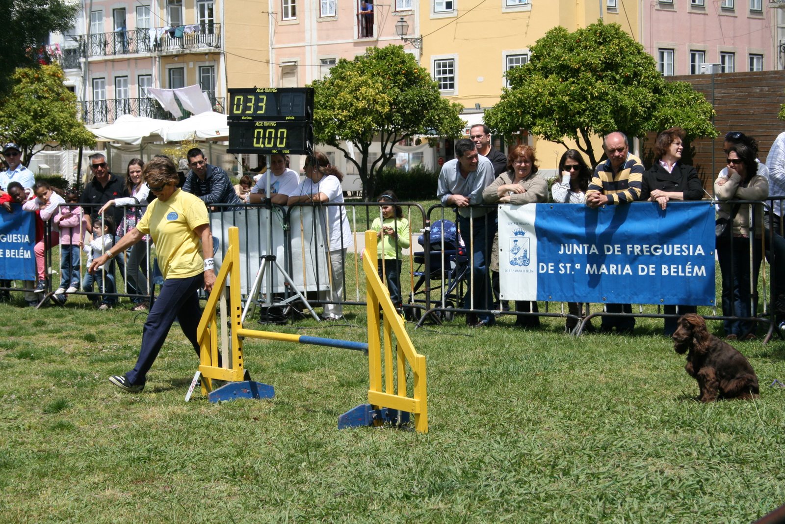 [Isabel_Brownie.JPG]