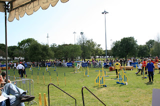 42º Trofeu de Agility 42º Trofeu de Agility