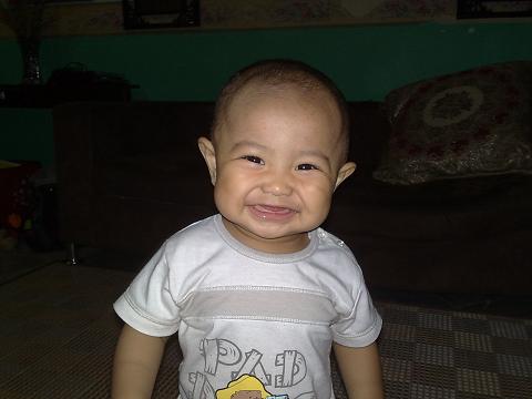 ariq 12 bulan