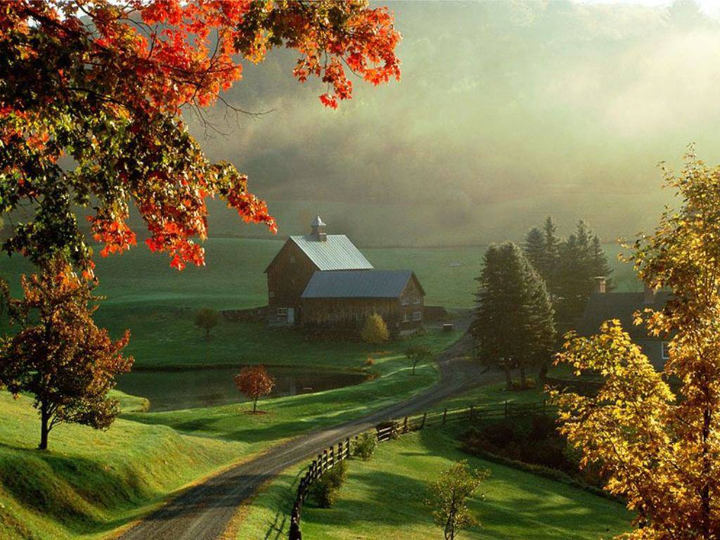 http://3.bp.blogspot.com/_7fN_aKGefUo/TKSUP2EBUwI/AAAAAAAAA3c/UfsNeWgfWXc/s1600/fall_wallpaper.jpg