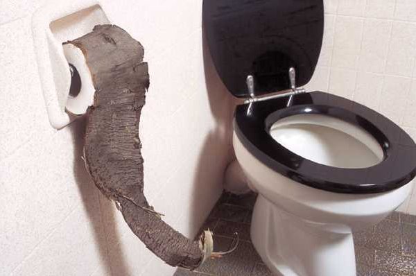 Чешский туалет со скрытой камерой в унитазе