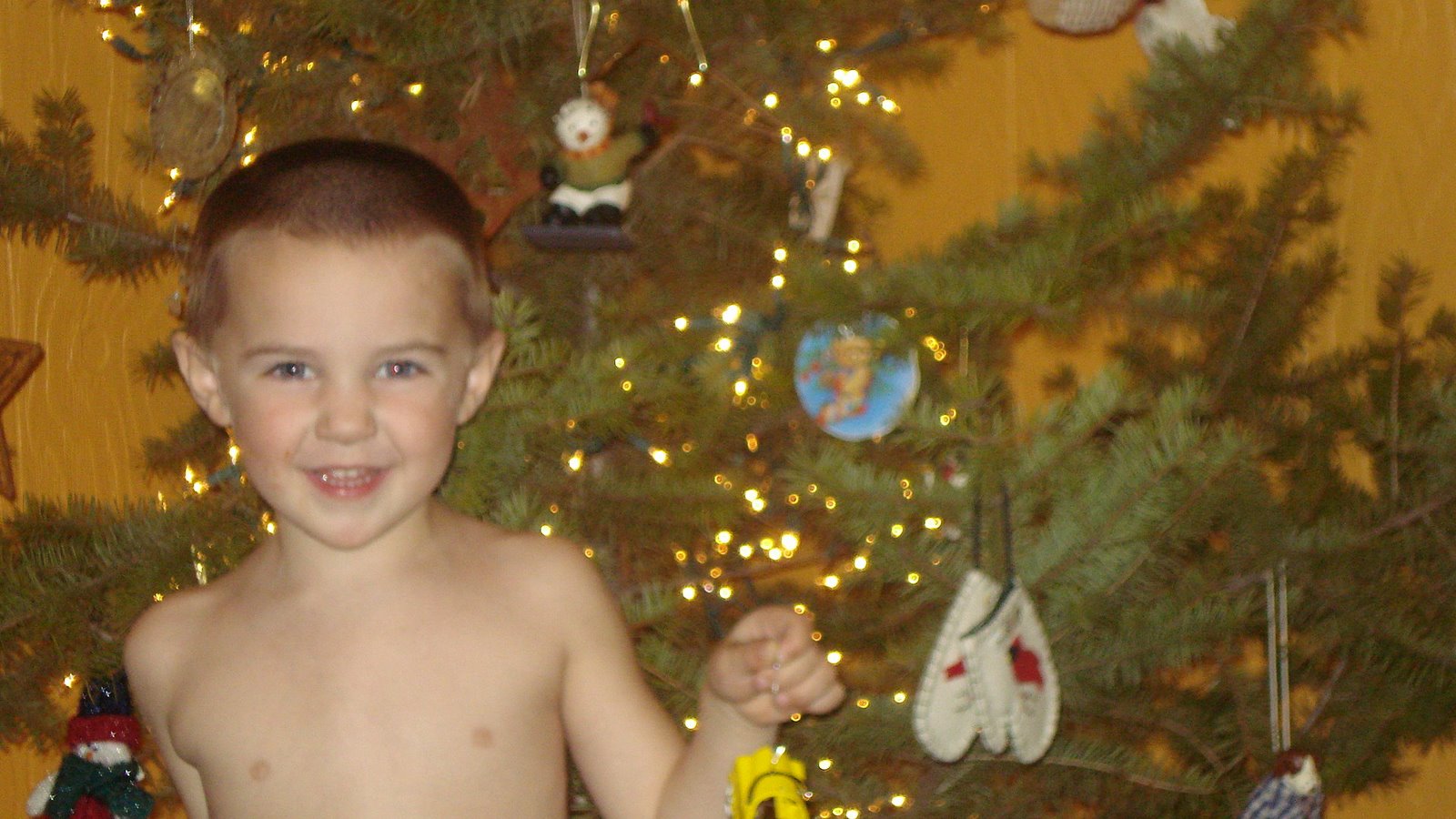 [Bridger+Tree.JPG]