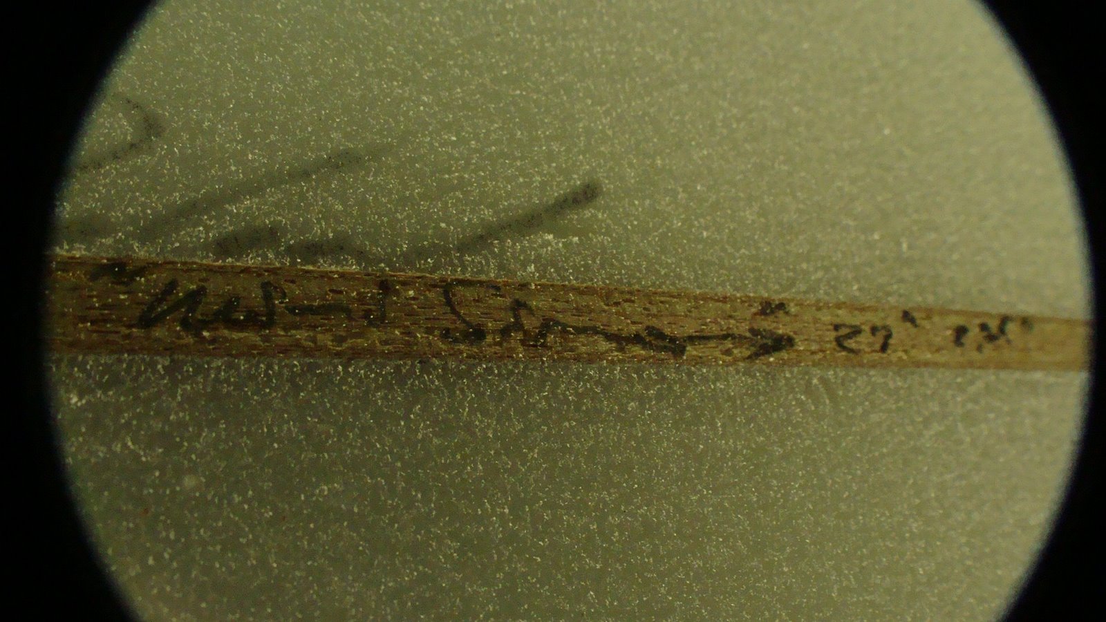 [DSC00795.JPG]