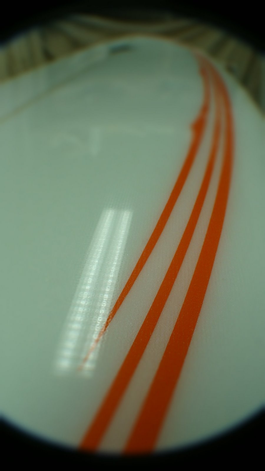[DSC01020.JPG]