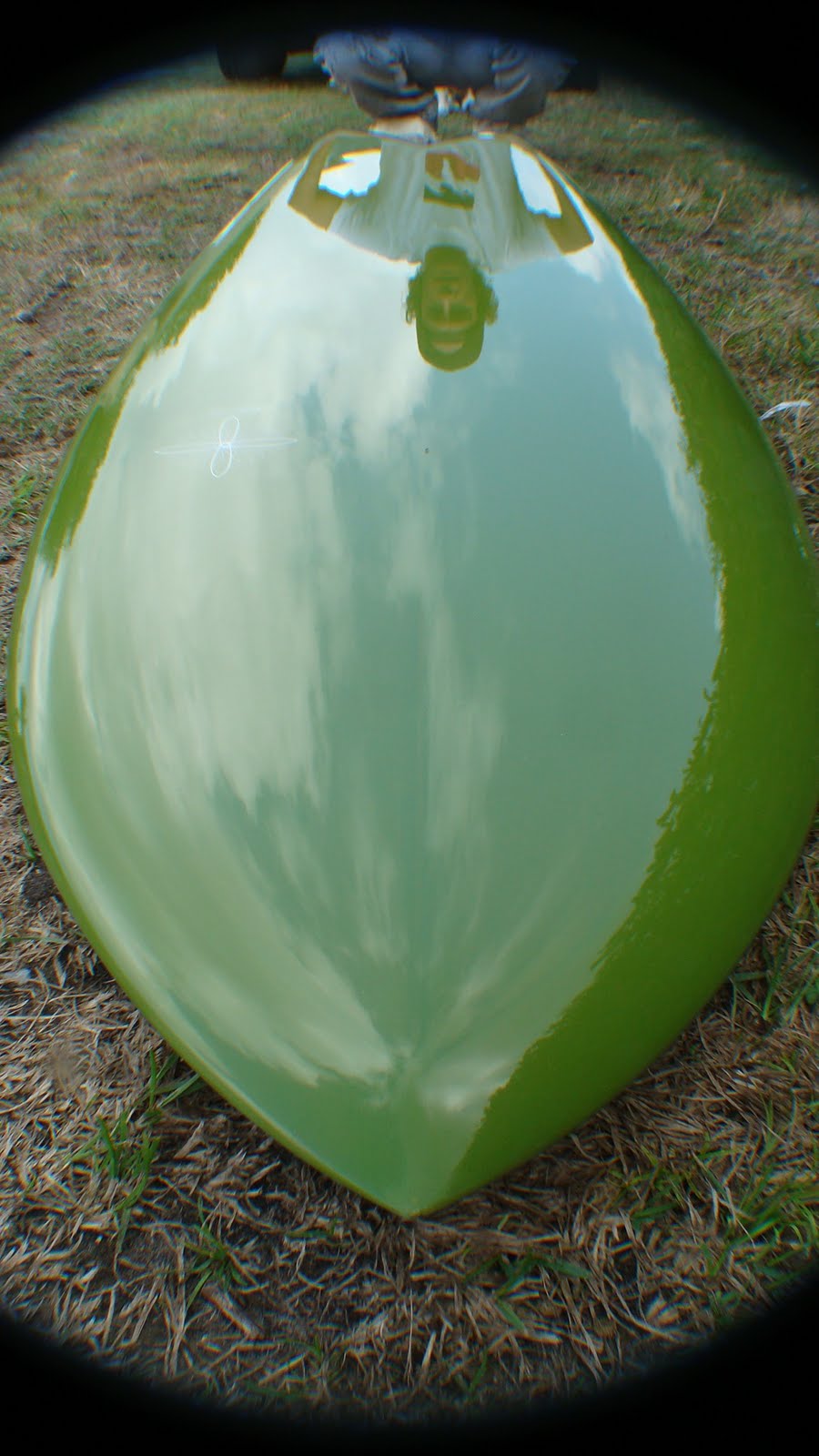 [DSC06145.JPG]