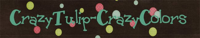 CrazyTulip-Crazy Colors