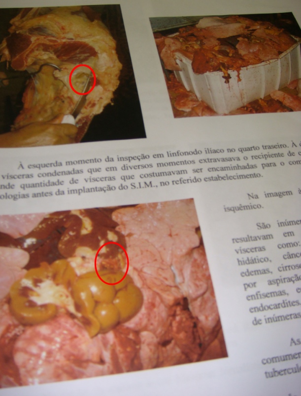 [CARNE+DOENTE+copy.jpg]