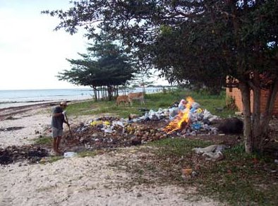 [Ilha+de+Algodoal+2.bmp]