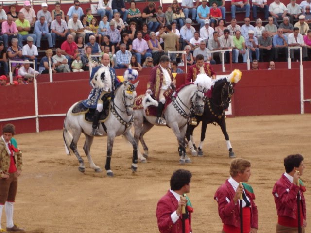 [DSC00270.JPG]