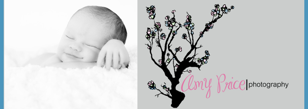 Amy Price Photography