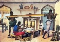 Facts of Brazil: The Africans