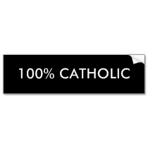 100 % Catolica