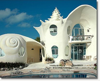 [Shell+House.jpg]