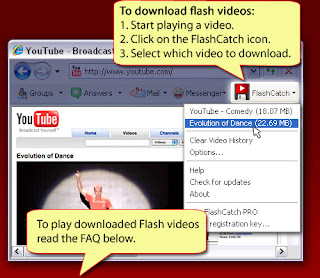 FlashCatch 1.0.0.10b