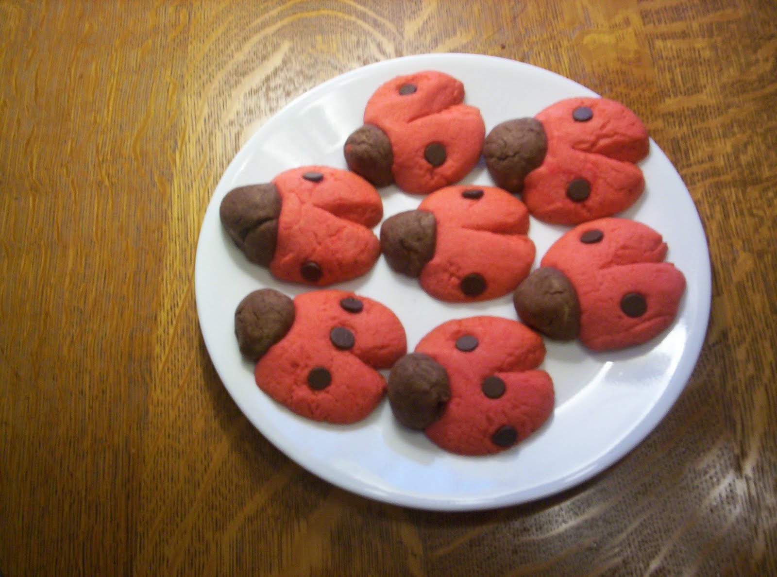 Grumpy Ladybug