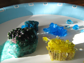 Almost Unschoolers Smithsonian Crystal Growing Kit Review