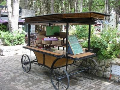 Costa del Este Ceste_carrito