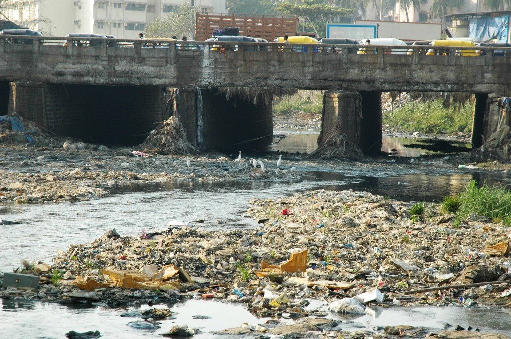 [Oshiwara+River_Marco+Casagrande_Mumbai+2006.JPG]