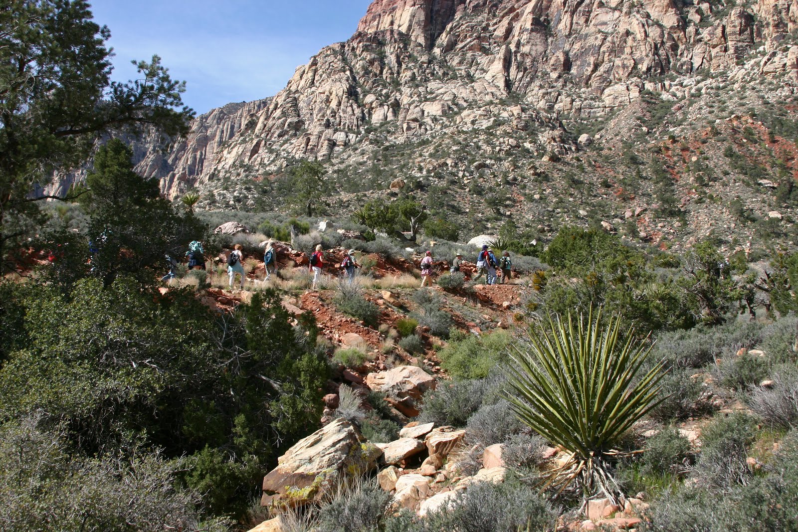 hiking group for singles and friends